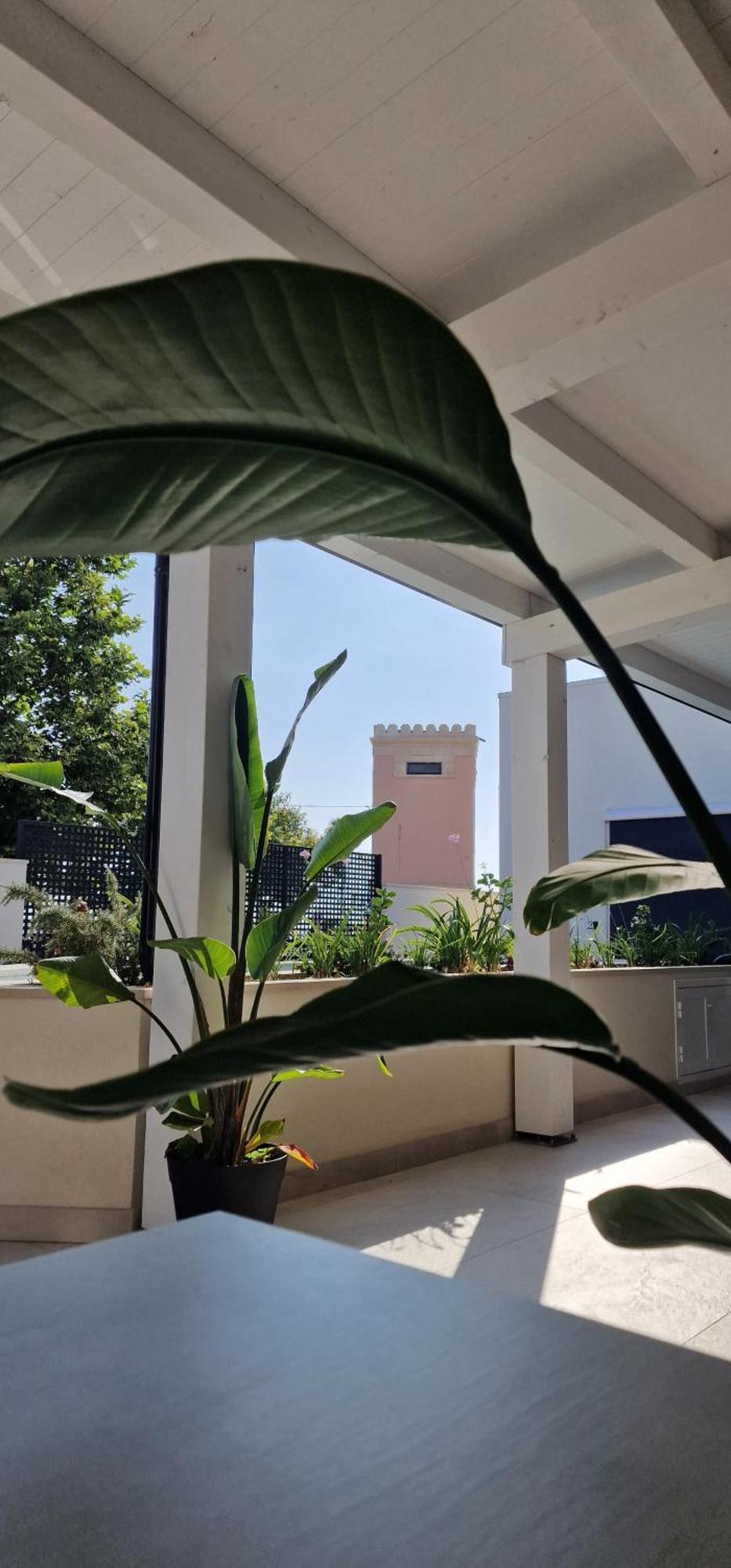 Thalassa Rooms Avola Exterior foto